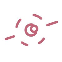 ぴよ丸 (@lolimaru43) Twitter profile photo