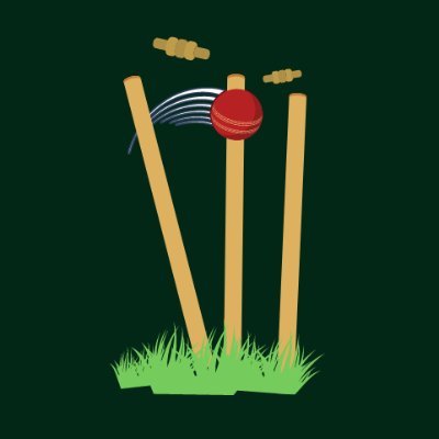 Cricket...Repeat. Likes and RTs are not endorsements. #PakistanCricketTeam