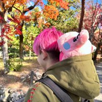 SENA (@lisa_setsuna) 's Twitter Profile