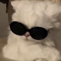 ︎✿ (@ss__kll) 's Twitter Profile