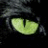 cytyfojimy's profile image