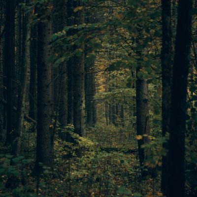 RGandha57490's profile picture. كن داعيا إلى فكرة سليمة، إلى نظرة حيّة، دون أن تحملها فقط. و إلّا تكُن مدعوّا إلى غيرها و أنت لا تعلم. لأن الناس إما تابع أو متبوع؛ لا ثالث لهما.