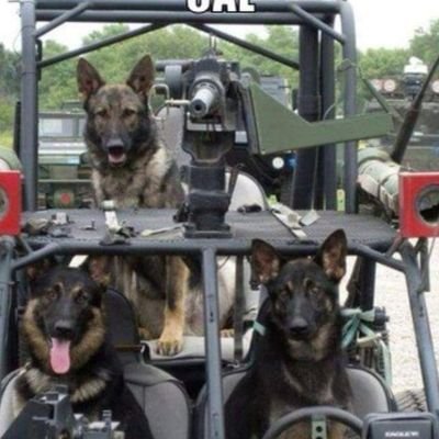 SeanTBaker's profile picture. full time dad and line cook how about that!! Destiny and other games as well