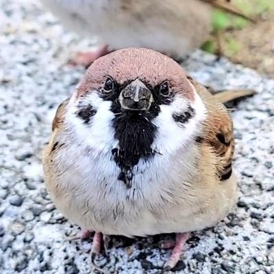 Jd9cX's profile picture. 