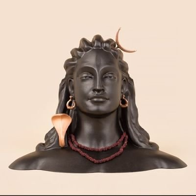 dvjmane19's profile picture. Human