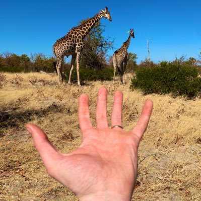 Wildlife & Environmental Conservation enthusiast. Linguist. My story is how I went from poor me To please pour me a drink and celebrate with me