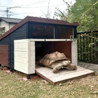 【ペットハウジング】MOLTING CAGE (@moltingcage) 's Twitter Profile Photo 【ペットハウジング】MOLTING CAGE (@moltingcage) 's Twitter Profile Photo