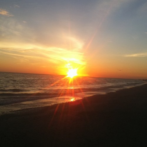 WellingtonMary's profile picture. 