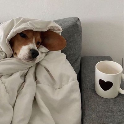 WTF_FFF_'s profile picture. 