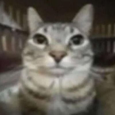 happypuffin2's profile picture. 