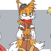 Miles Prower (Light Mobius 25 years later) (@prowermongoose) 's Twitter Profile