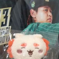 おりわん (@xgmqh3kzzv29896) 's Twitter Profile Photo