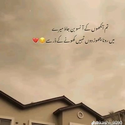 MuhammadAf75590's profile picture. Die with memories not with dreams