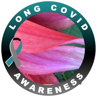 Long Covid Awareness: Repeat infections = SERIOUS risks for ALL ages. We need anti-viral treatment options. Everyone deserves safe spaces and clean air.