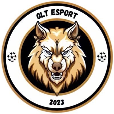 GLT_eSport Profile Picture