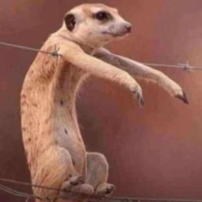 KurwaraLinton's profile picture. Peace|🍀MAN U📸. Self confidence. Dignity. Humble yourself to earn. Respect 🇿🇼🇿🇦🇨🇳🇦🇪🇬🇧
You can call me MHOFELA. ///