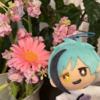 mocha (@mocha_971) 's Twitter Profile