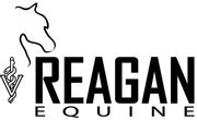 ReaganequineMVS's profile picture. We are a full service Equine Veterinary Practice located in Wilmington, NC.