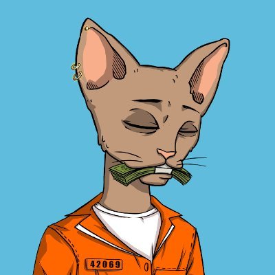 ymontoyarios123's profile picture. 