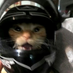 netto (@nettovlr) Twitter profile photo netto (@nettovlr) Twitter profile photo
