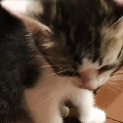 syt089's profile picture. 