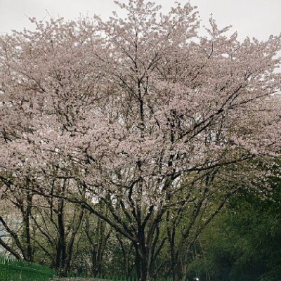 勇気を持ってあなたの望む生活を選んで、そして堅持して、🏡これは1種の偉大な生活態度です。未来が幸せになりますように、ドライブが好きです。🚗