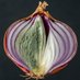 Elon Musk's Burner Account (@rottingonion) Twitter profile photo Elon Musk's Burner Account (@rottingonion) Twitter profile photo