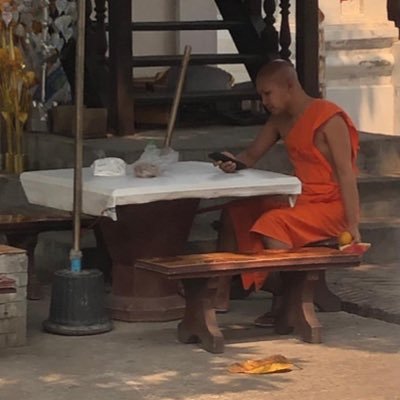 Sunners_'s profile picture. Freshwater ray-finned fish belonging to the order Perciformes. Prefers clear, cold, slow-moving water. Pronouns: glub / glub