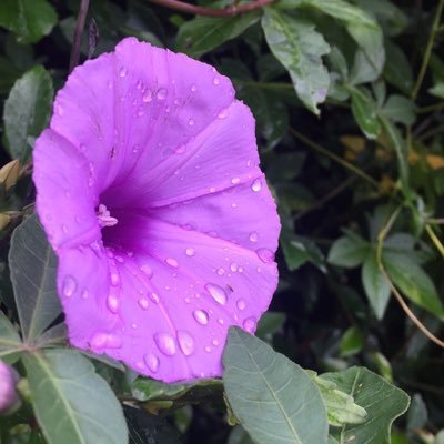 zizu1818's profile picture. 