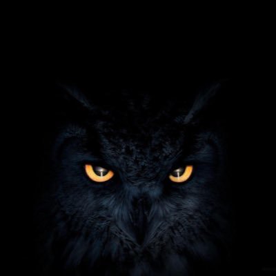 mayournezi1's profile picture. 