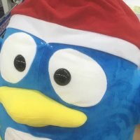 ハミングドリ (@hummingdori) 's Twitter Profile Photo