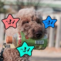 狂犬BOYZ(@PositiveMaddog) 's Twitter Profile Photo