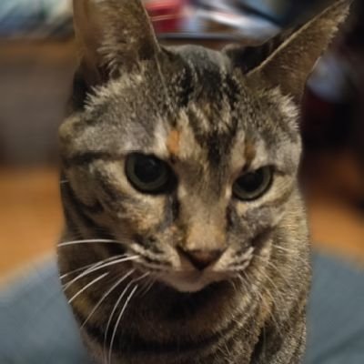kittyandR Profile Picture