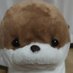 XYZ@ (@xyz__48) Twitter profile photo XYZ@ (@xyz__48) Twitter profile photo