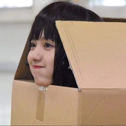 Syaifud90216581's profile picture. 