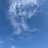 Leo (@chen_lephone) 's Twitter Profile