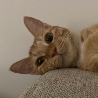 hans__hk's profile picture. 개발, 투자, 영화, 요리, 게임, 캠핑, 플레이모빌