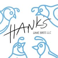 Hank’s GameBirds LLC(@hanksgamebirds) 's Twitter Profile Photo