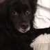 Annick LONDOT (@mayannick1967) Twitter profile photo Annick LONDOT (@mayannick1967) Twitter profile photo