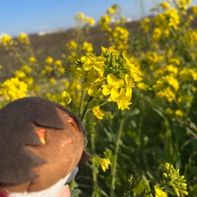 リントさんのプロフィール画像