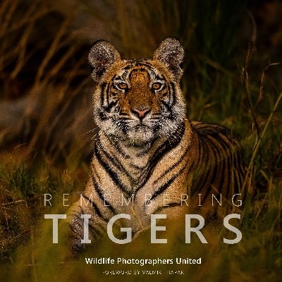 Remembering Tigers will be the 9th book in the Remembering Wildlife fundraising series. All profits to conservation projects, £1.1m GBP raised to date.