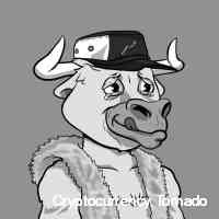 ttrnadoocrypto's profile picture. Voomio ceo - nft marketplace, nft investor, husband, and father