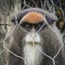 Piga Picha Safi (@pigapichasafi) Twitter profile photo Piga Picha Safi (@pigapichasafi) Twitter profile photo