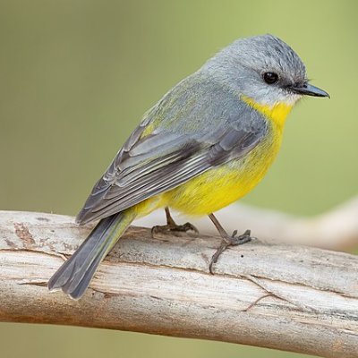 BanksRichi64941's profile picture. crypto related is what I want to hear