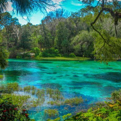 Msra520's profile picture. 