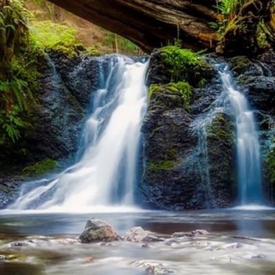 PA_Water2's profile picture. Working towards a cleaner, greener, healthier Pennsylvania.  Clean air, clean water and lots of sunlight.