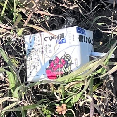 sui_moooon's profile picture. 慇懃無礼