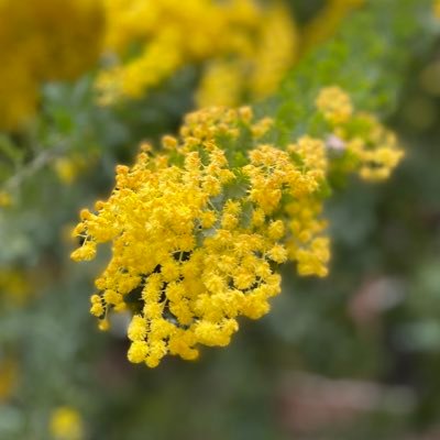 kuru9runtw's profile picture. まだまだ勉強中のWebエンジニア