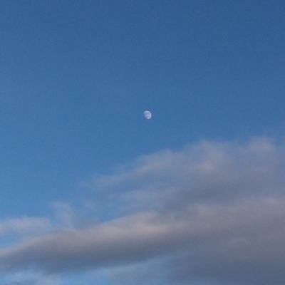 2023年から短歌を詠んでいます。
作ってる時に頭に流れていた曲名もメモとして残してますが、内容とリンクしてたりしていなかったり。のんびりやっていきます。