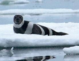 JagaloonLagoon's profile picture. SNATCHCHAT: Jagaloooooooonlagoon   instamamograms: Jagaloon_Lagoon